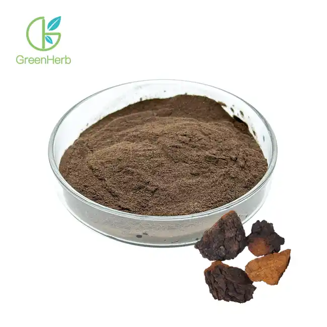 Chaga Mushroom Extract